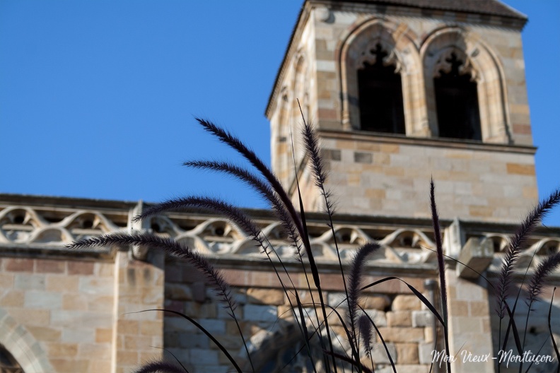 Église Notre-Dame : le clocher vu de la place Notre-Dame 0001_notre-dame_eglise_clocher-fleur.jpg
