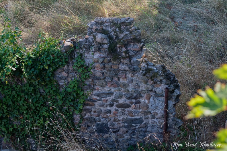 Le vieux lierre soutient le mur qui l'avait longtemps soutenu (André Gide)Reste d'un pan de mur d'une arrière-cour de la rue Grande vu de l'esplanade du Vieux Château 0005_vue-esplanade_mur-lierre.jpg