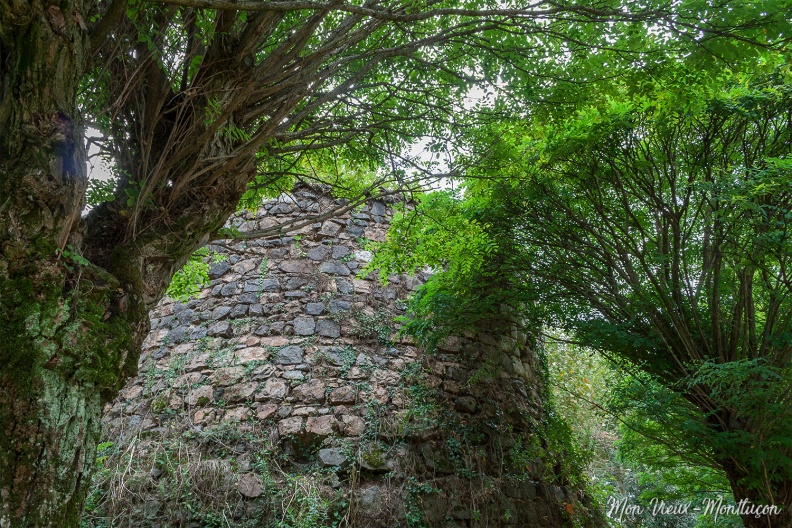 Jardin Wilson : une des tours vue du bas et de face 0007_jardin-wilson_tour_zoom.jpg