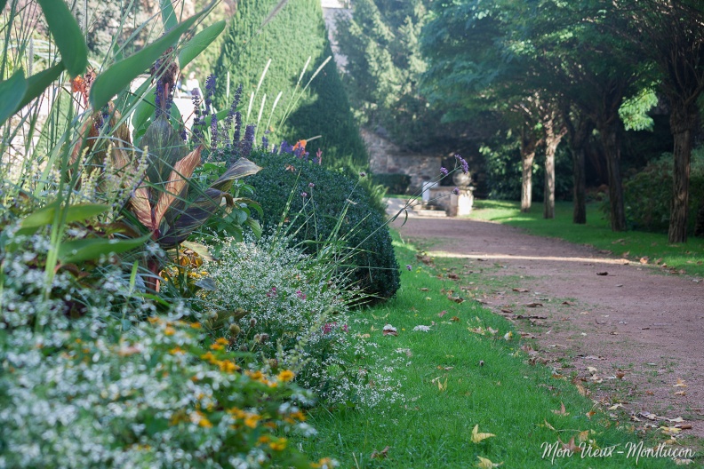 L'automne approche timidementJardin Wilson : allée centrale 0010_jardin-wilson_automne.jpg