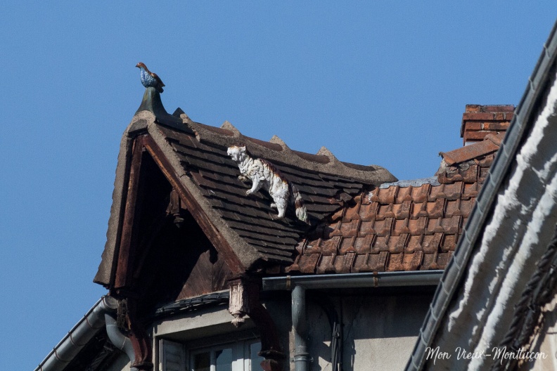 28 rue des Serruriers : un vrai chat d'arrêt ! 0014_serruriers_rue-28_chat.jpg