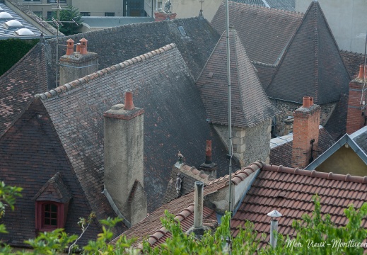 Le chat et la colombe