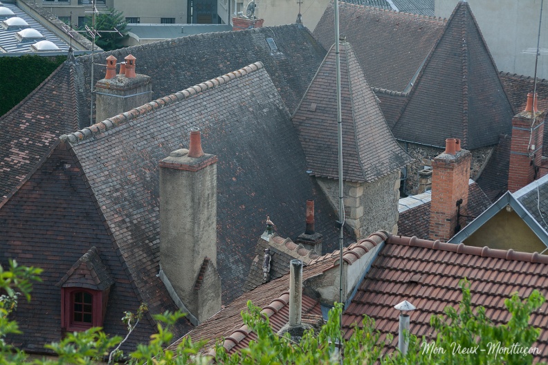 28 rue des Serruriers : l'interminable chasse vue de l'esplanade du Vieux Château 0014_serruriers_rue-28_chat_vue-esplanade.jpg