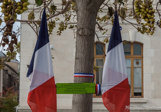 Arbre de la laïcité