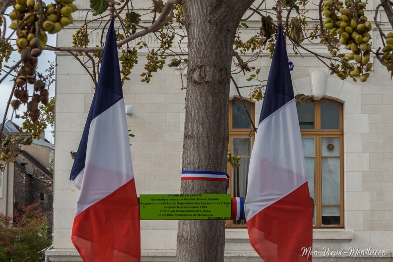 Parvis de l'hôtel de ville : arbre de la laïcité : hommage à Samuel Paty 0029_mairie_arbre-laicite.jpg