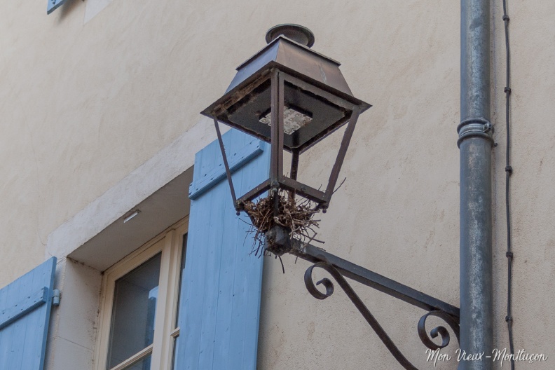 Rue Place des Toiles : depuis le nid a disparu 0041_place-toiles_rue_nid.jpg