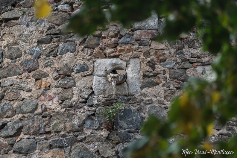 Porte des Dames Fouquet : gargouille de la Tour Ronde vue du jardin WilsonUne des rares tours qui reste des 41 qui constituaient la muraille de la cité médiévale 0042_porte-dames-fouquet_serpent.jpg