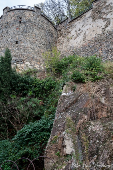 Le gardien des remparts du Vieux Château 0061_chats_remparts-vieux-chateau.jpg