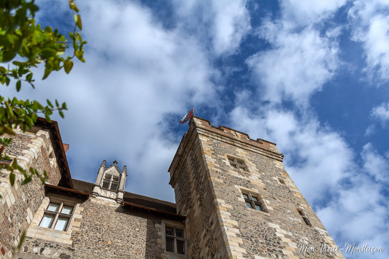 Château des ducs de Bourbon : le donjon 0104_vieux-chateau_donjon-fenetre_vue-pied.jpg