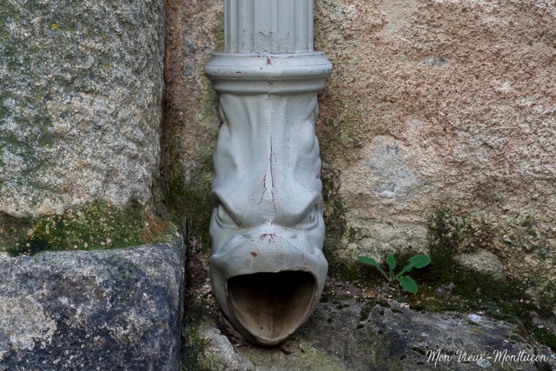 Rue de la Charité, à l'angle de la rue Notre-Dame : le dragon 0131_charite_rue_gouttiere-2.jpg