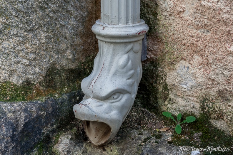 Rue de la Charité, à l'angle de la rue Notre-Dame : le dragon 0131_charite_rue_gouttiere-1.jpg