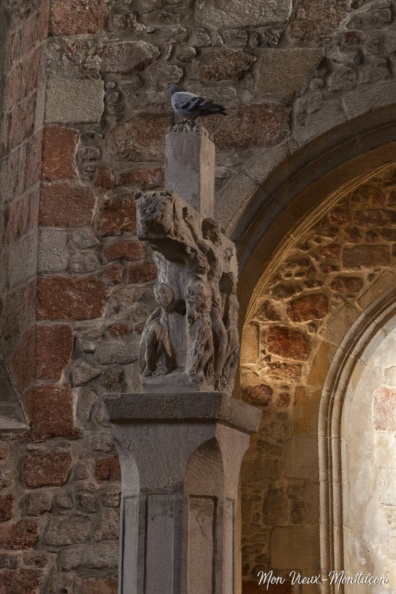 Église Saint-Pierre : petite visite surprise pendant une séance photo. 0179_pigeon_saint-pierre.jpg