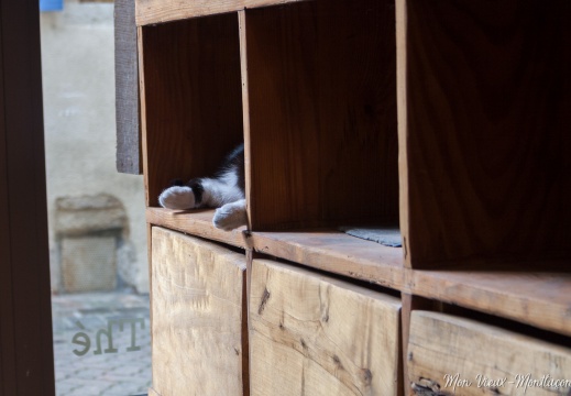 Boîte à chat