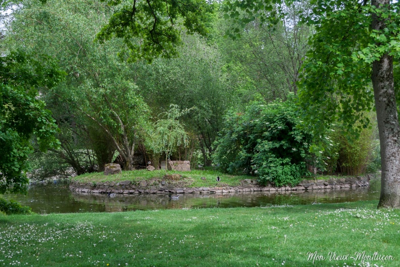 Parc Saint-Jean : l'île où vivent et nidifient les canards et les cygnes saint-jean_parc_ile.jpg
