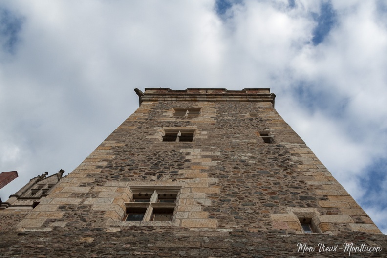 Château des ducs de Bourbon : le donjon 0195_vieux-chateau_donjon_vue-pied.jpg