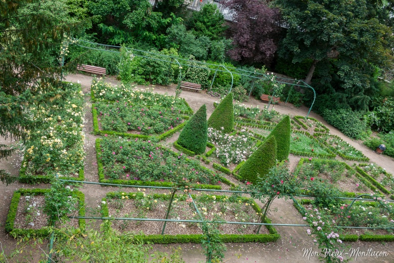 Jardin Wilson : roseraie Georges Delbar 0211_jardin-wilson_roseraie_haut.jpg