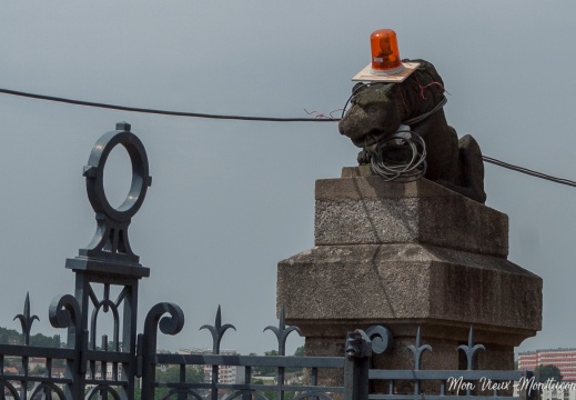 Lion de Saint-Diéry