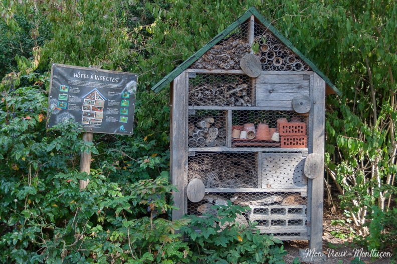 Jardin Wilson, roseraie Delbar : hôtel à insectes 0218_jardin-wilson_insectes.jpg