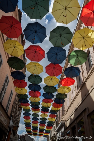 Rue Porte Saint-Pierre : une pluie de parapluies 0221_porte-saint-pierre_rue_parapluie-03.jpg