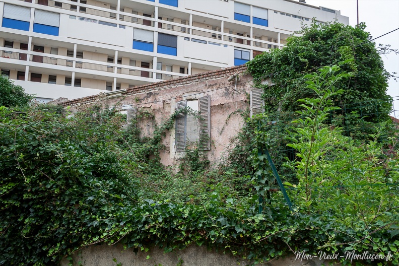 7 rue Jules Ferry : quand la nature reprend ses droits 0256_jules-ferry_rue-7_ruine-01.jpg