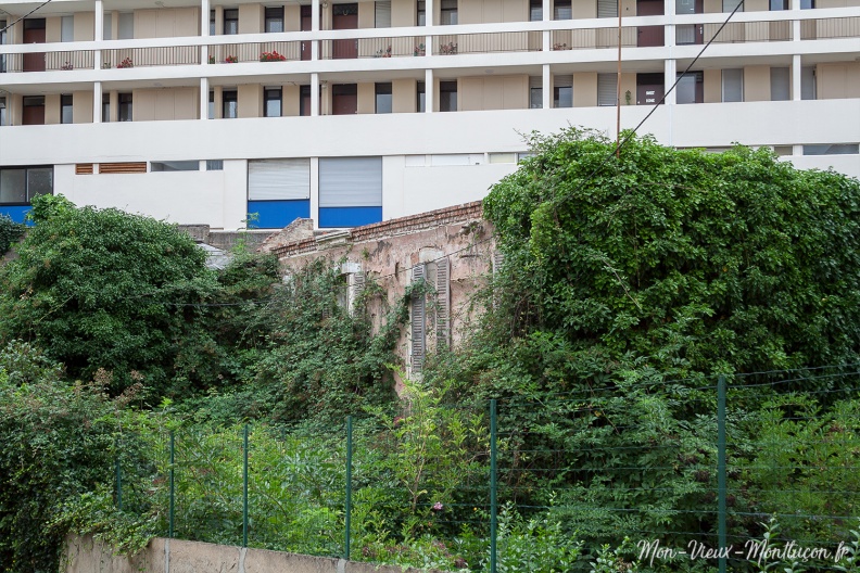 7 rue Jules Ferry : quand la nature reprend ses droits 0256_jules-ferry_rue-7_ruine-02.jpg