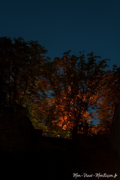 vieux-chateau_esplanade-arbre_nuit.jpg