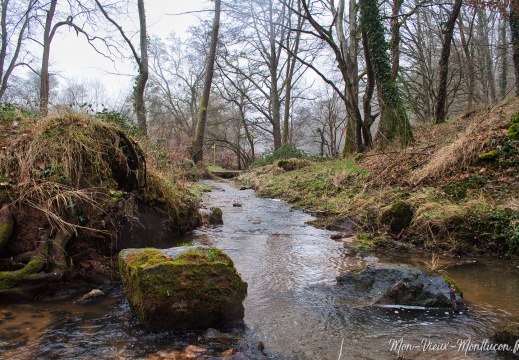 Au fil de l'eau