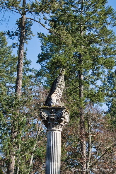 Parc et château de La Louvière : le gardien 0322_louviere_aigle.jpg