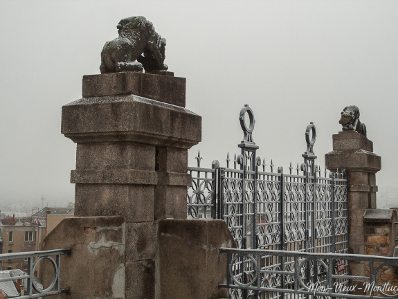 Lions de Saint-Diéry