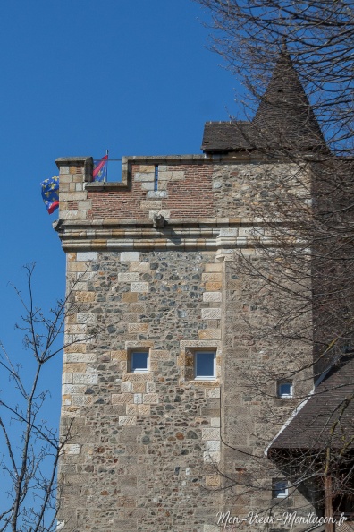 Château des ducs de Bourbon : le donjon vu de l'esplanade 0336_vieux-chateau_donjon-esplanade.jpg