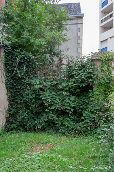 7 rue Jules Ferry : le mur de mûres 0346_jules-ferry_rue-7_portail-02.jpg
