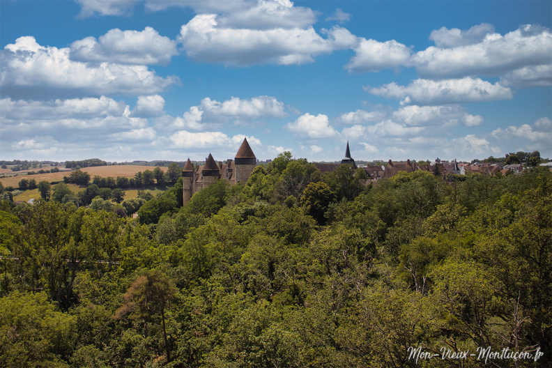 Château de Culan vu du viaduc culan_02.jpg