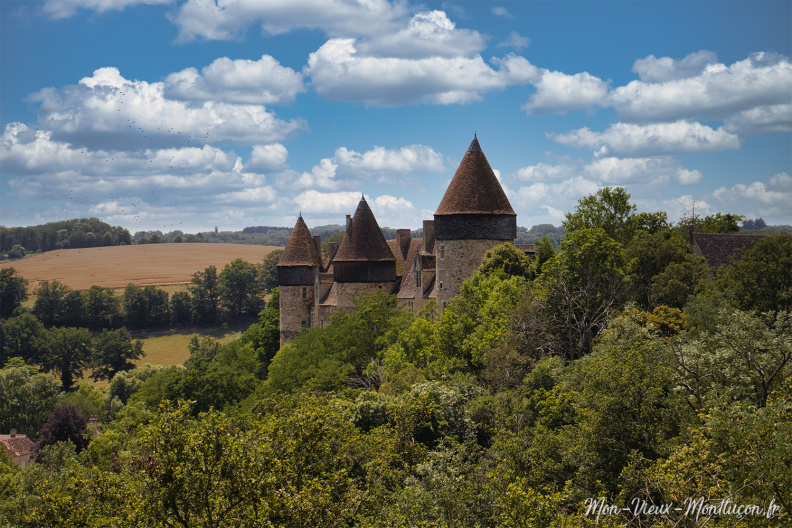 Château de Culan vu du viaduc culan_03.jpg