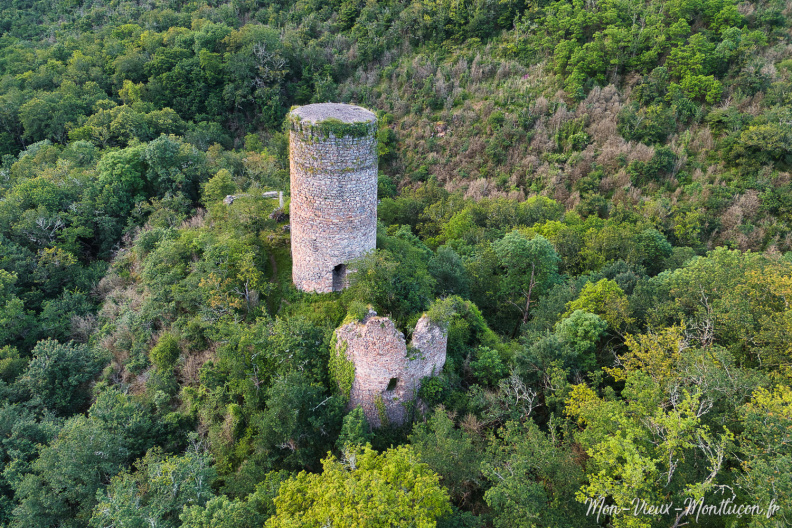 Le Château de l'Ours, commune de Sainte-Thérence DJI_20240612210602_0018_D.jpg