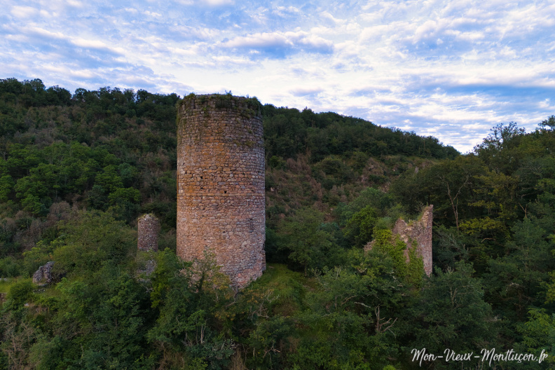 Le Château de l'Ours, commune de Sainte-Thérence DJI_20240612210851_0023_D.jpg