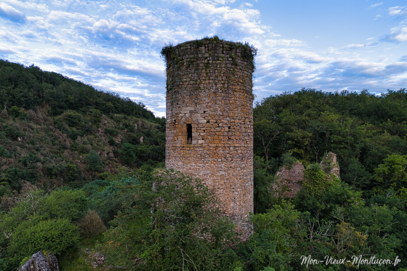 Le Château de l'Ours, commune de Sainte-Thérence DJI_20240612210916_0024_D.jpg
