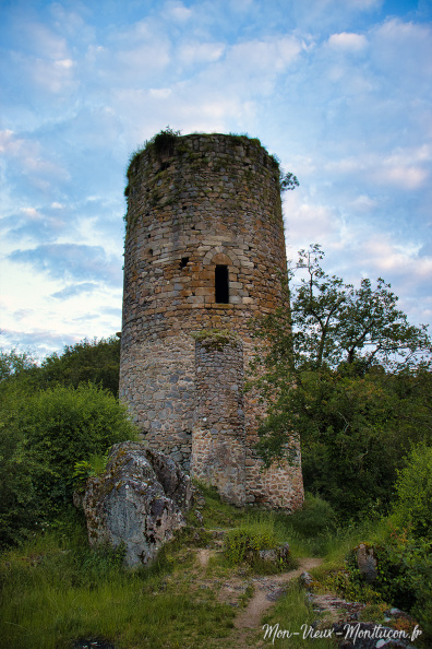 Château de l'Ours : le donjon IMG_0995.jpg