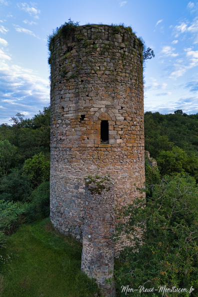 Château de l'Ours : le donjon DJI_20240612211003_0025_D.jpg