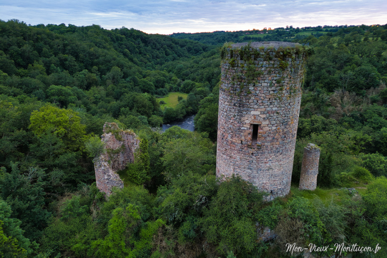 Le Château de l'Ours, commune de Sainte-Thérence DJI_20240612214319_0043_D.jpg